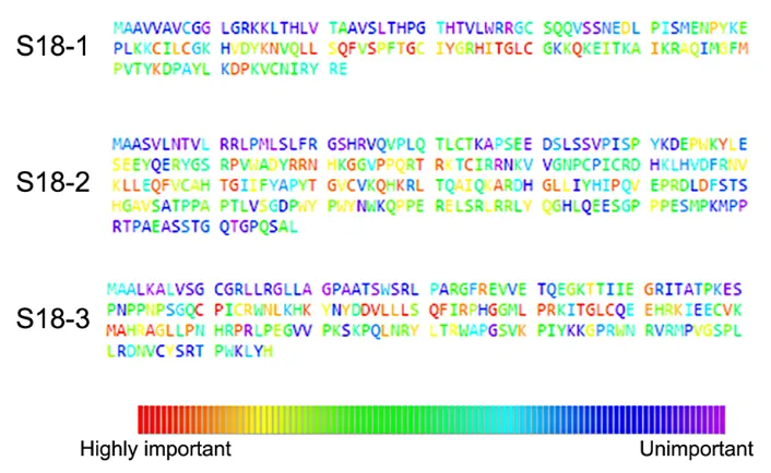 Figure 2: Percentage similarity between S18 orthologs of different species. orthologs of S18 protein family in metazoan; A