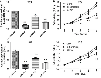 Figure 1. A. qRT-PCR analysis comparing lncRNA Loc554202 expression in bladder cancer tissues and adjacent non-cancerous tissues (control)