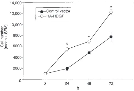 Figure 5Effect of endogenous overexpression of HDGF on SMC proliferation.
