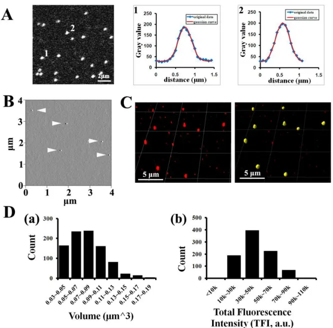 Figure  II-5.  Characterization  of  fluorescence  signal  for  single  Cy5-AAV2  particles