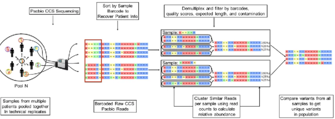 Figure  4.1: Schematic  representation  of the bioinformatics  clustering  pipeline  employed  in  this  study