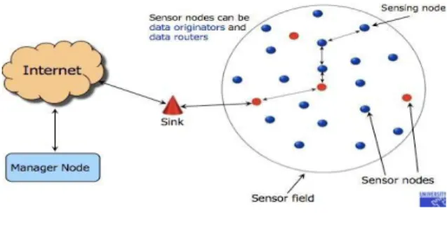 Figure 1: WSN Components 