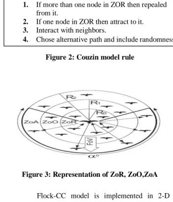 Figure 2: Couzin model rule 