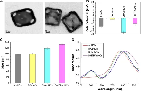 Figure 1 characterization of the functionalized auNcs.Notes: (A) Transmission electron microscopy images of auNcs (left) and DhTPauNcs (right)