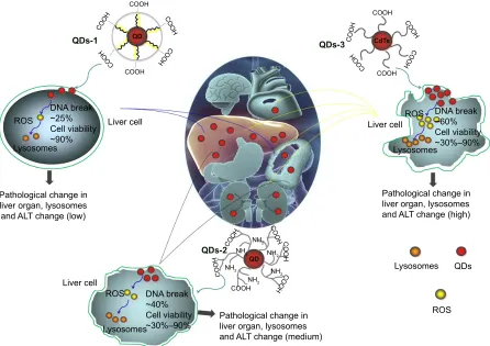 Table 1 provides detailed descriptions of each QD. All the particles used in this study have a spherical shape but vary 