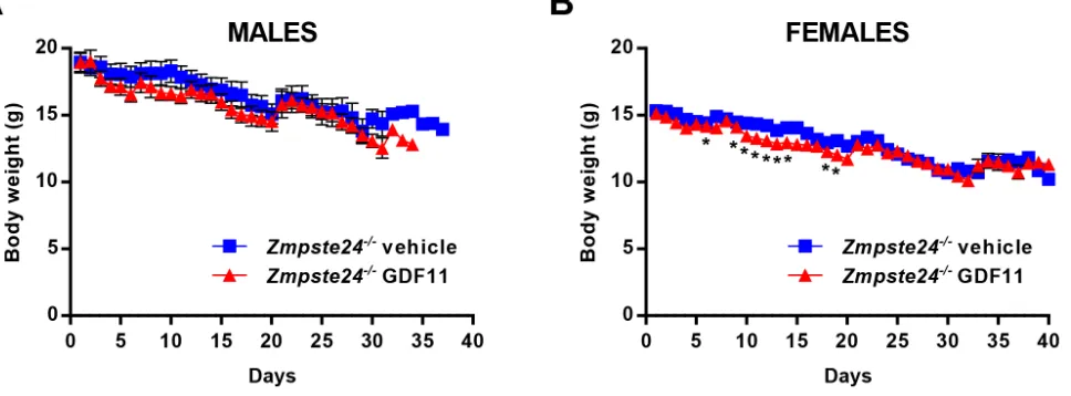 Figure 2: rGdF11 therapy does not extend longevity of Zmpste24= 5) and vehicle-treated (-/- mice