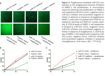 Figure 3. Pioglitazone-mediated miR-221 con-tributes to the pioglitazone-induced inhibition of HMEC-1 cell proliferation