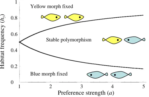 Figure 2a. The region of stability of the polymorphic equilibrium when female 