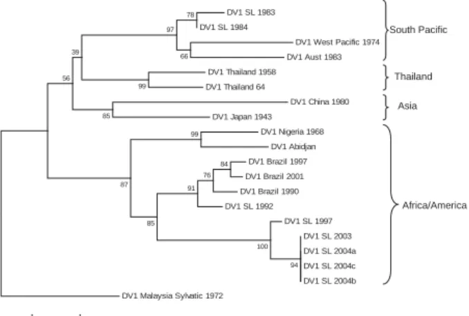 Figure 4. Phylogram of dengue serotype 1 viruses (DENV-1)  from Sri Lanka (SL), 1983–2004, and other DENV-1 viruses