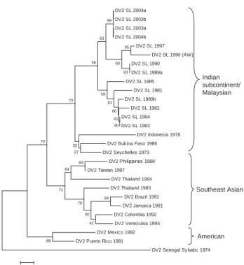 Figure 5. Phylogram of dengue serotype 2 viruses (DENV-2) from  Sri Lanka (SL), 1981–2004, and other DENV-2 viruses