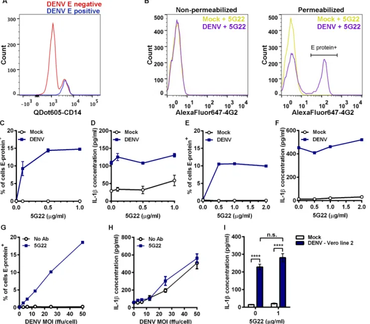Fig 1. DIV crude supernatant induces IL-1 β secretion independent of ADE. (A) Flow-cytometric histogram overlay comparing CD14 expression levels in cells negative or positive for intracellular DENV E protein at 24 hpi