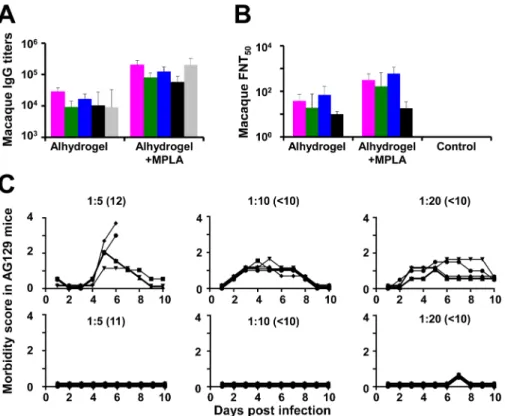 Fig 6. Evaluation of DSV4 in macaques. (A) Serum IgG titers were determined in macaques (n = 6) which had been immunized with DSV4 formulated either in alhydrogel alone (Alhydrogel) or in alhydrogel with MPLA (Alhydrogel +MPLA) by indirect ELISA, using pur