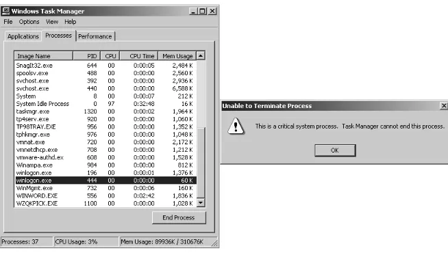 Figure 6.4On Windows, backdoors that have the same names as vital system processes cannot be 