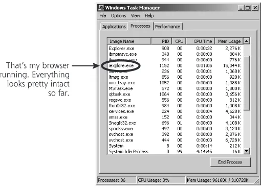 Figure 6.2Normal Windows Task Manager: Here is what I expect to be running on my Windows 