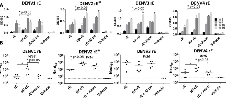 Fig 3. Monovalent NP-rE formulations induce robust neutralizing antibody titers. A) DENV1-4 specific IgG titers were determined for week 3, 4, 10 and 16