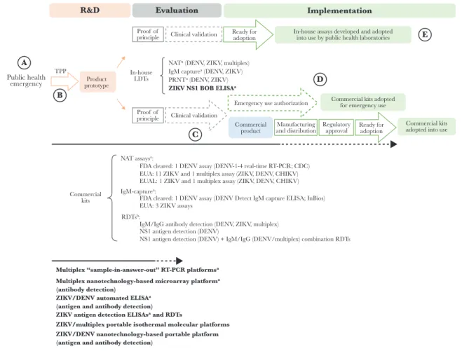 Figure 4.  Diagnostic landscape to detect Zika virus (ZIKV) and dengue virus (DENV) infections and the pathway to adoption