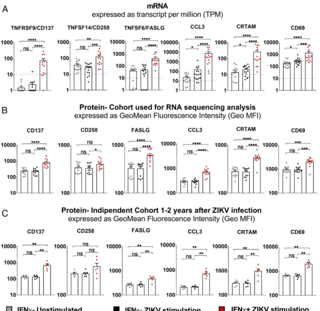 FIGURE 2. Correlation of expression at the mRNA and protein levels in CD8 + T cells of selected markers