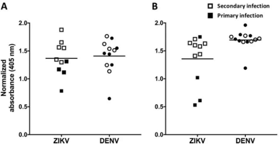 FIG  3  Binding  of  recombinant  E80  antigen  to  sera  from  patients  with  remote  (A)  and  recent  (B)  ZIKV  and/or  DENV  infection