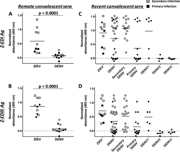 FIG 4 Binding of Z-EDI and Z-EDIII with remote (A and B) and recent (C and D) convalescent-phase sera from patients infected with ZIKV and/or DENV