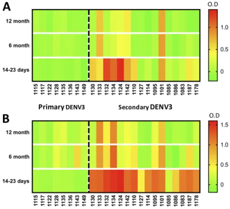 FIG  5  Patterns of cross-reactivity of Z-EDIII (A) and ZED-I (B) antigens with longitudinal DENV samples