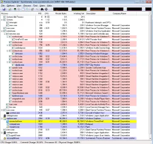 FIGURE 3-1 The Procexp process list, with tree view.