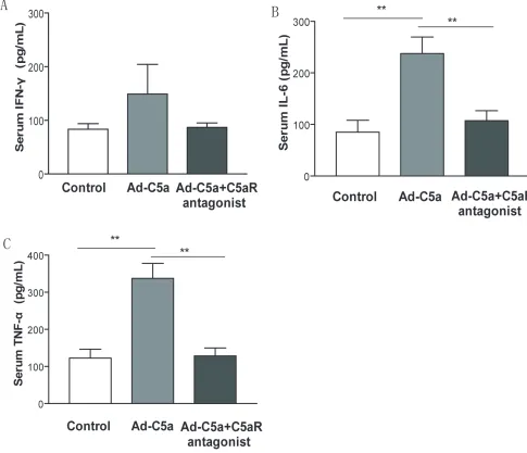 Figure 6: Effect of C5a overexpression on inflammatory cytokines expression. Serum from blood samples was taken 14 days after Ad-C5a injection