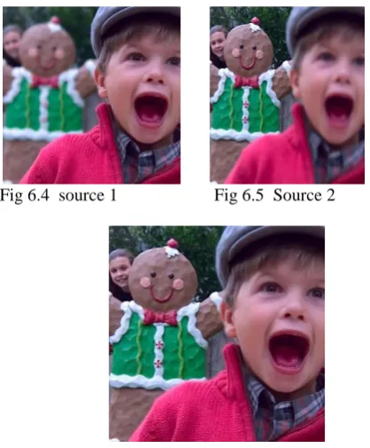 Fig 6.6  Result image 