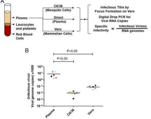 Fig. 1. Specific infectivity of DENV1 virions pro- pro-duced in people and laboratory cell lines