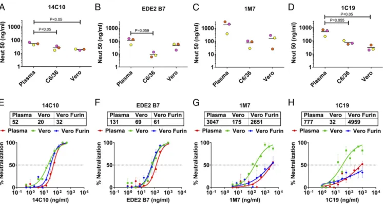 Fig. 3. Neutralization ability of human mAbs against plasma and cell culture DENV1. (A –D) Various dilutions of human mAbs were used to neutralize DENV1 viruses from plasma and their C6/36 and Vero cell culture clinical isolates