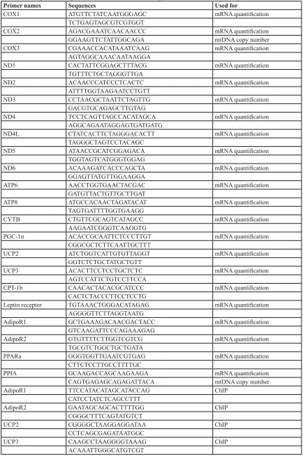 Table 1: The primer of genes for RT-PCR, mtDNA copy number, and ChIP analysis