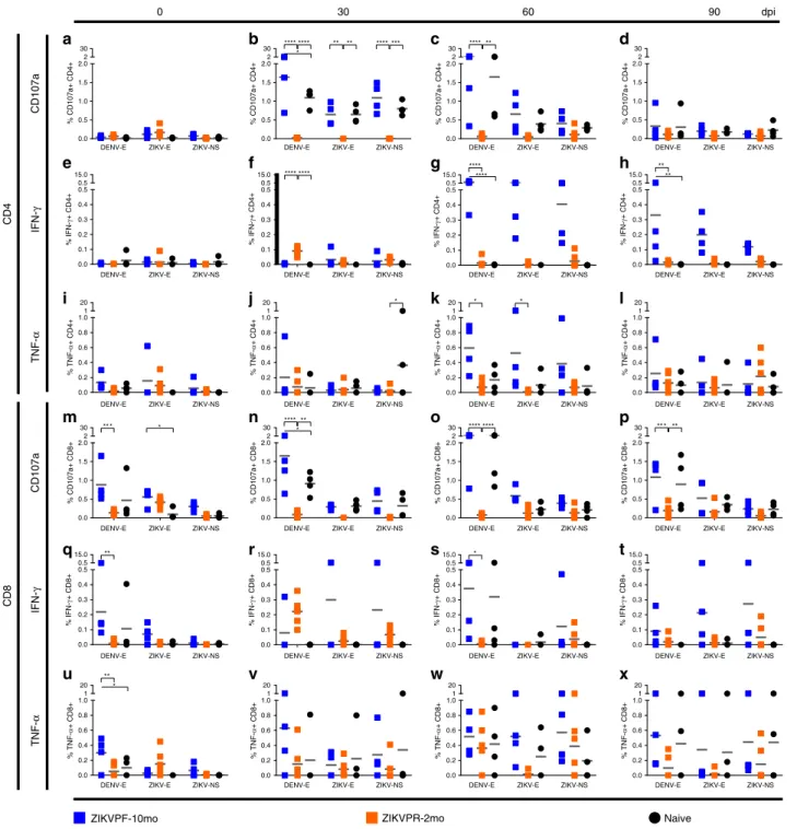 Fig. 7 Longevity of ZIKV immunity shapes the T cell functional response. T cell functional effector response was determined by the quanti ﬁcation (%) of (a –d; m–p) CD107a-expressing and (e–h; q–t) IFN-γ or (i–l; u–x) TNF-α-producing CD4 + and CD8 + T cell