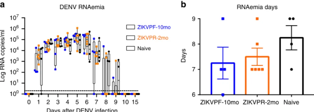 Fig. 2 Previous ZIKV immunity does not contribute to an increase of DENV RNAemia. a DENV-2 RNA kinetics in ZIKV-immune and naive animals at baseline, day 1 –10, and day 15 after DENV infection