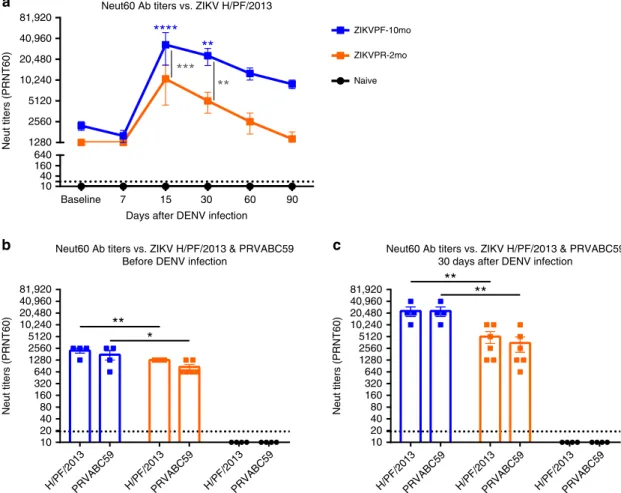 Fig. 5 ZIKV neutralization is boosted after DENV infection, and is strain independent