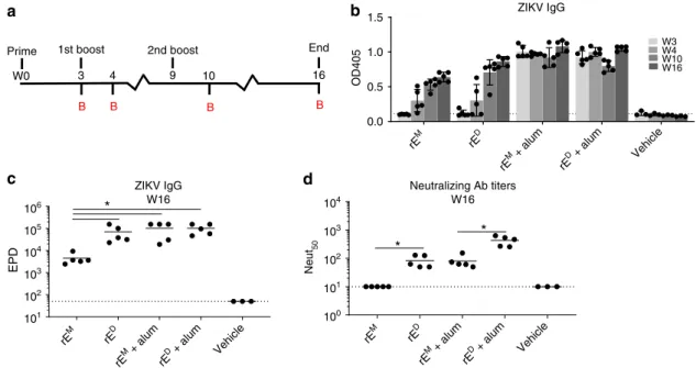 Fig. 2 ZIKV rE D induces neutralizing antibody responses. a Mice were primed with 5 µg of ZIKV rE M or rE D ( +/−alum) and boosted with similar doses at weeks 3 and 9