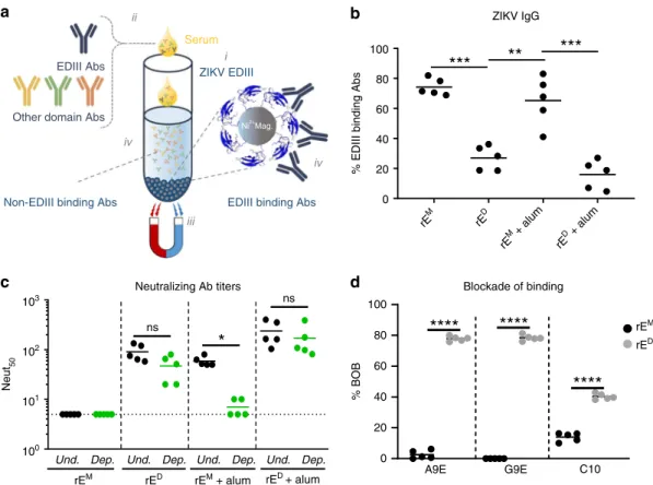 Fig. 3 ZIKV rE D stimulates antibodies that target complex epitopes on the virion. a Method for depleting EDIII-binding antibodies from mouse immune sera.