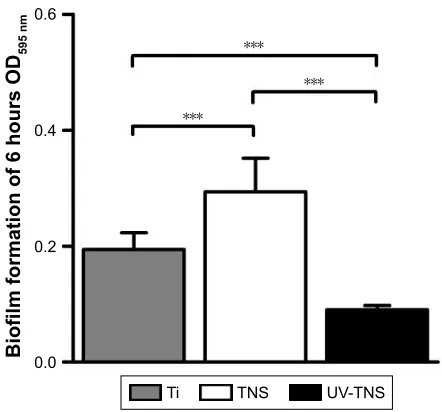 Figure 4 seM analysis of the morphology of bacteria attached to sample discs.Notes: (A) Ti, (B and D) TNs, and (C and E) UV-TNs discs were incubated with A