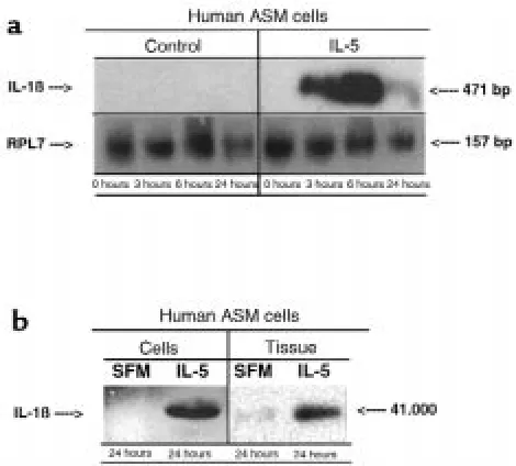 Figure 6(a) Comparison of human IL-1