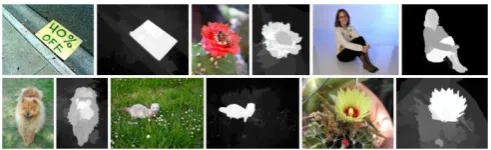 Fig. 1. Fine grained saliency maps for different objects in Images 