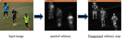 Fig. 2. Example of Saliency detection in Images 