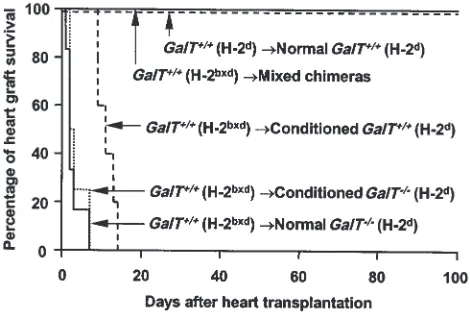 Figure 7Permanent 