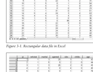 Figure 3-1. Rectangular data file in Excel