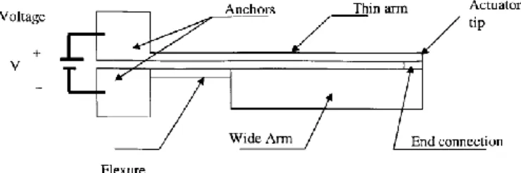Figure 1.1 : Geometry of the thermal actuator 