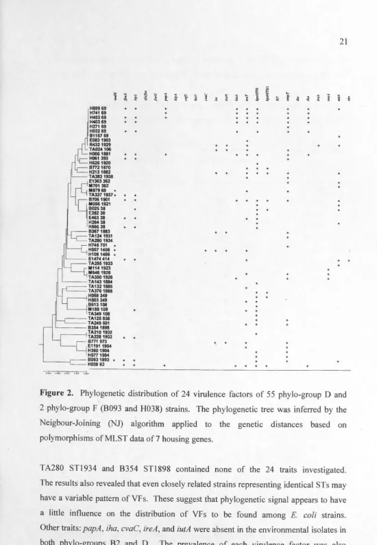 Figure 2. Phylogenetic distribution of 24 virulence factors of 55 phylo-group D and 