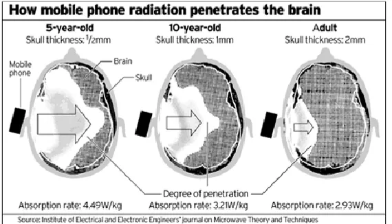 Figure 3: Radiations from mobile penetrates the brain 