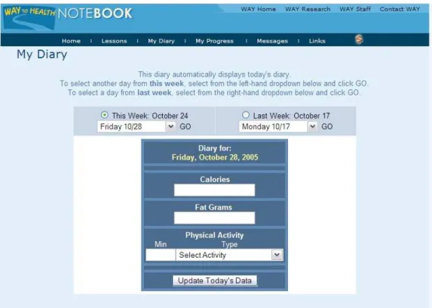 Figure 3.  Screen shot of diary 