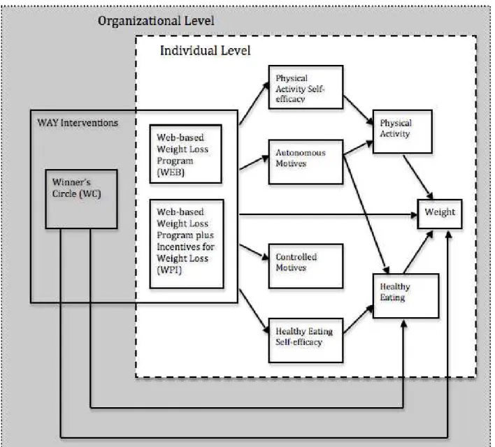 Figure 6.  Conceptual Model and Hypothesized Pathways to Weight Change 