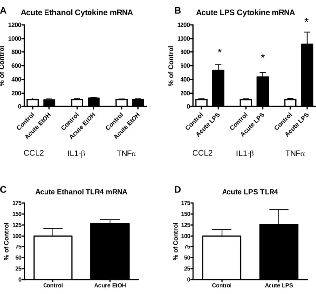 Figure 3.1: Effects of acute ethanol versus acute LPS administration on mRNA for cytokines  CCL2, IL1-β, TNFα and for TLR4s in cortex