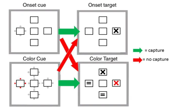Figure 1. Contingent cueing paradigm adapted from Folk et al., 1992. Capture to the cue was only  found when the cue’s features matched those of the target.