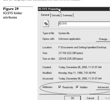 Figure 29IO.SYS folder