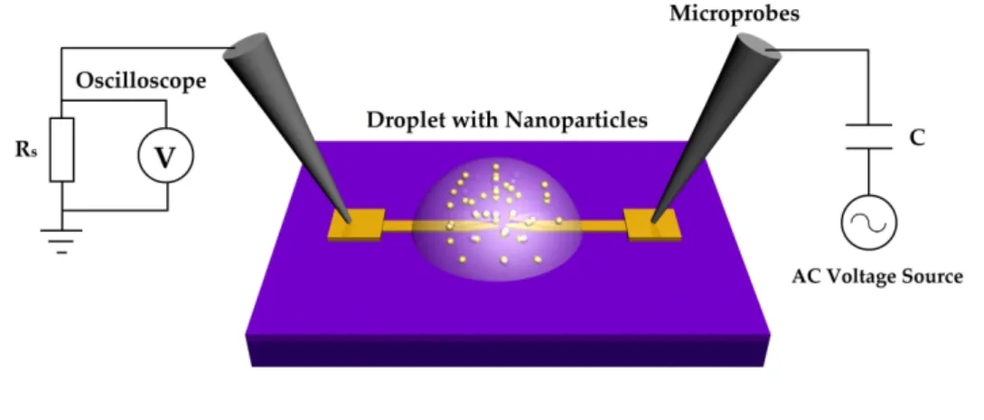 Figure 2.7: A schematic of the setup for trapping nanoparticles between electrodes. On the right electrode, an AC voltage is produced, which creates a high alternating electric field in the nanogap